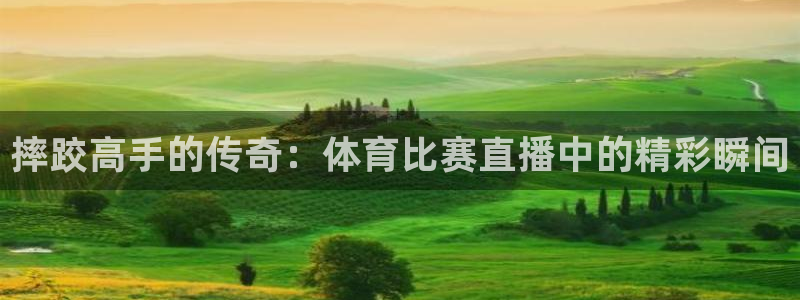 摔跤高手的传奇：体育比赛直播中的精彩瞬间