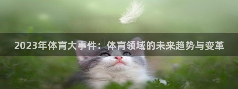 2023年体育大事件：体育领域的未来趋势与变革