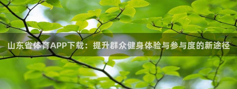 山东省体育APP下载：提升群众健身体验与参与度的新途径
