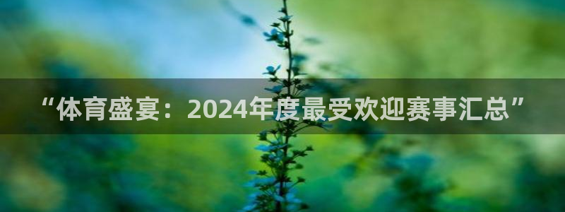 “体育盛宴：2024年度最受欢迎赛事汇总”