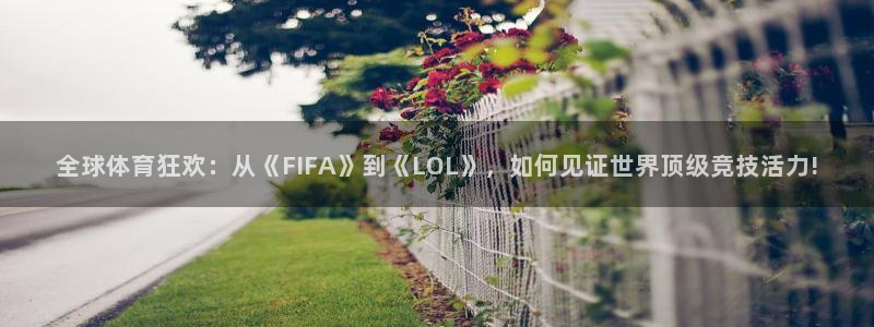 全球体育狂欢：从《FIFA》到《LOL》，如何见证世界顶级竞技活力!