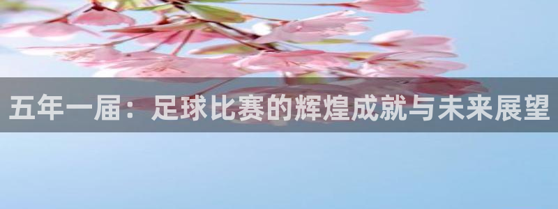 五年一届：足球比赛的辉煌成就与未来展望